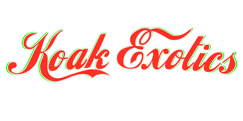 Koak Exotics
