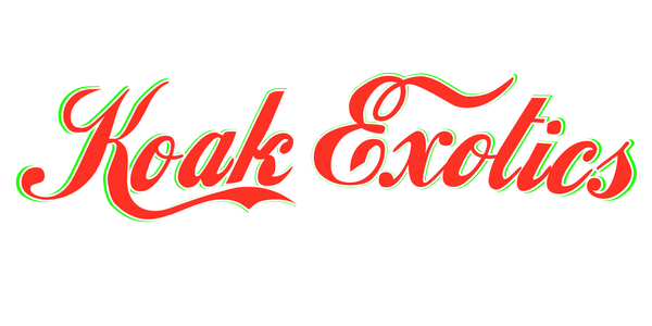 Koak Exotics